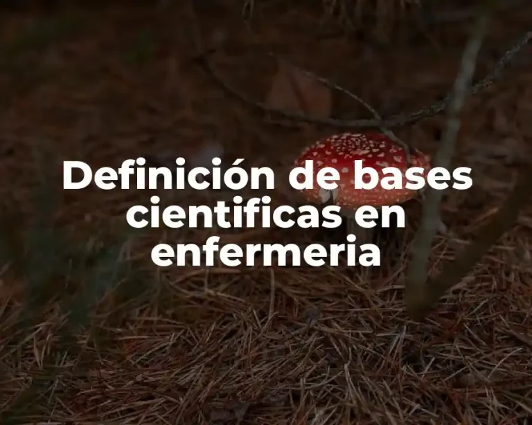 Definición de bases cientificas en enfermeria