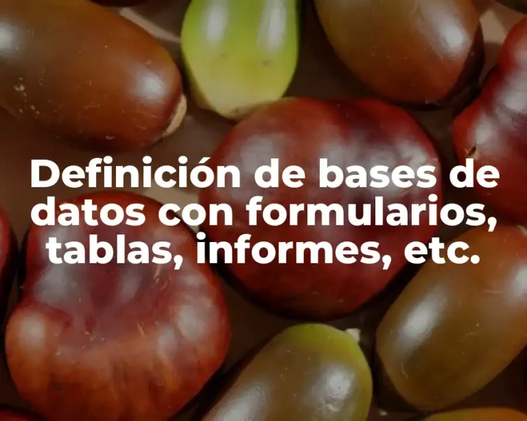 Definición de bases de datos con formularios, tablas, informes, etc.