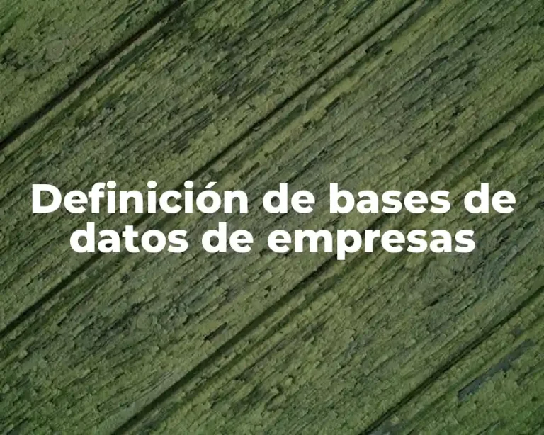 Definición de bases de datos de empresas
