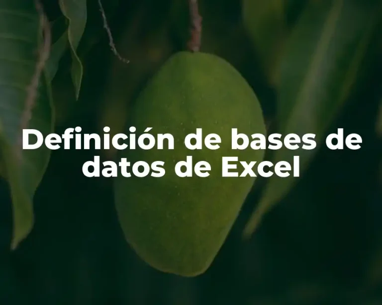 Definición de bases de datos de Excel