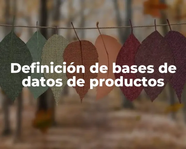 Definición de bases de datos de productos