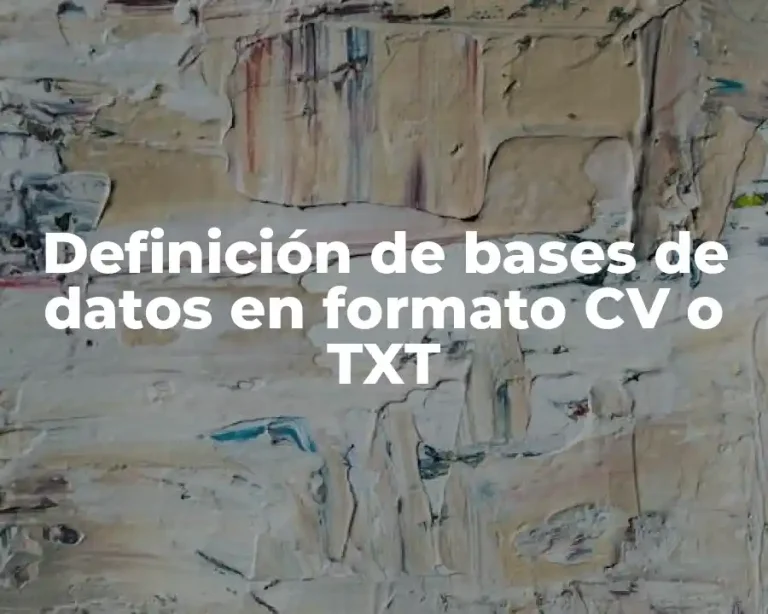 Definición de bases de datos en formato CV o TXT