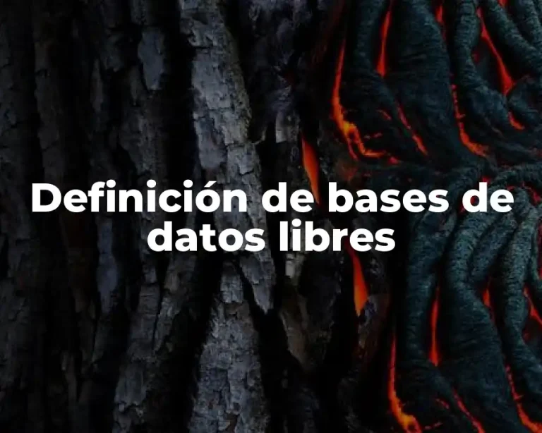 Definición de bases de datos libres