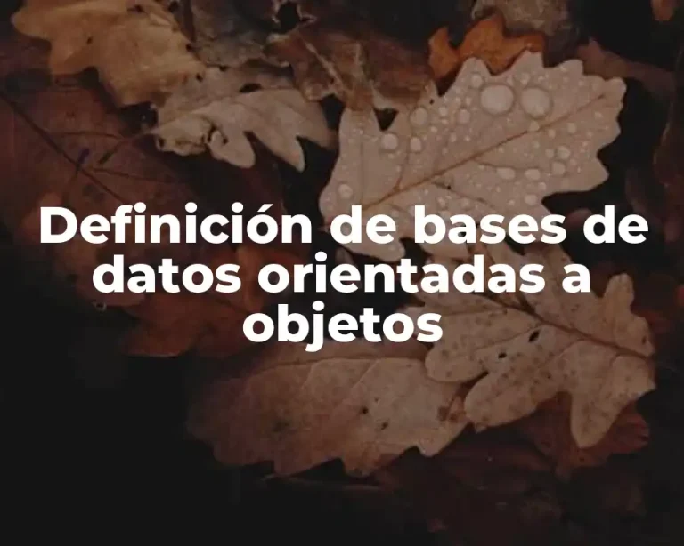Definición de bases de datos orientadas a objetos