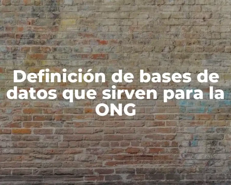 Definición de bases de datos que sirven para la ONG