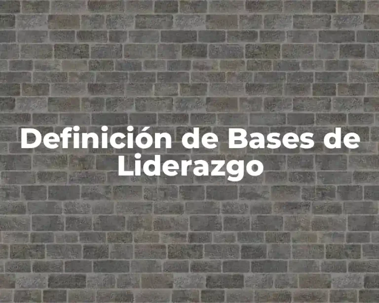 Definición de Bases de Liderazgo