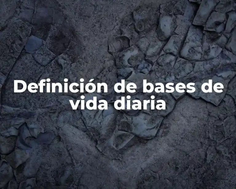 Definición de bases de vida diaria