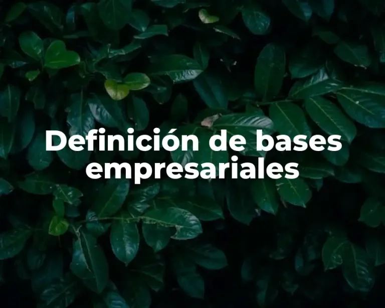Definición de bases empresariales