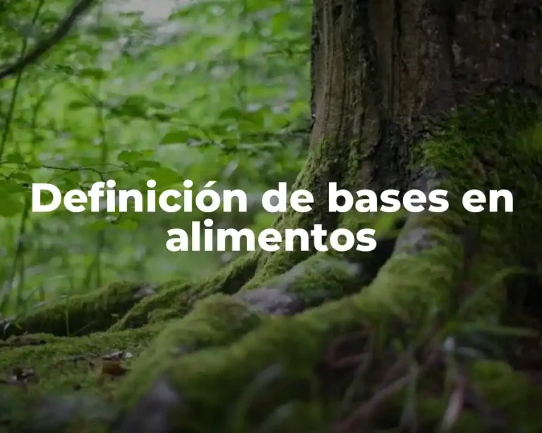 Definición de bases en alimentos