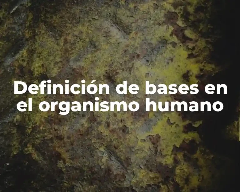 Definición de bases en el organismo humano