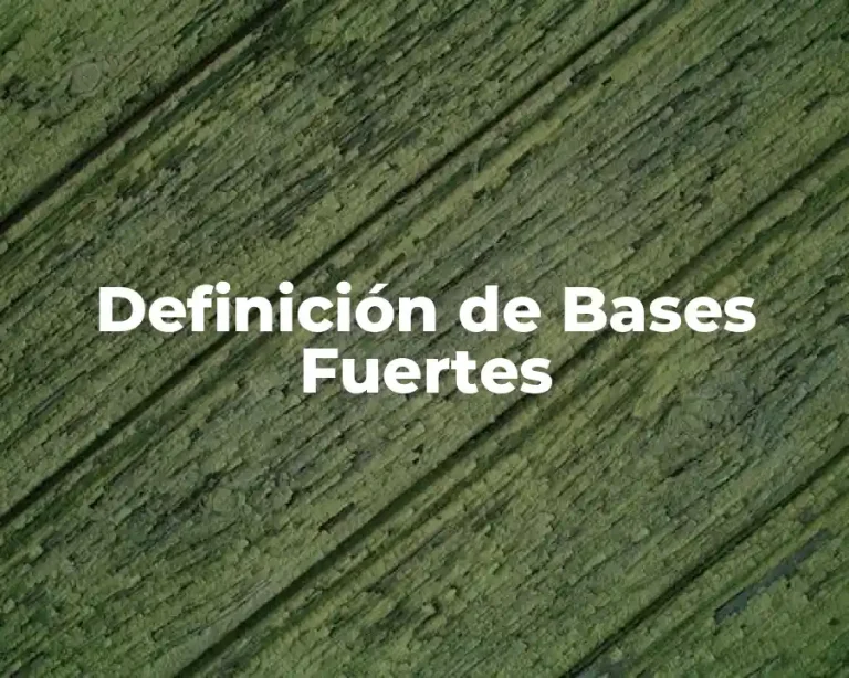 Definición de Bases Fuertes
