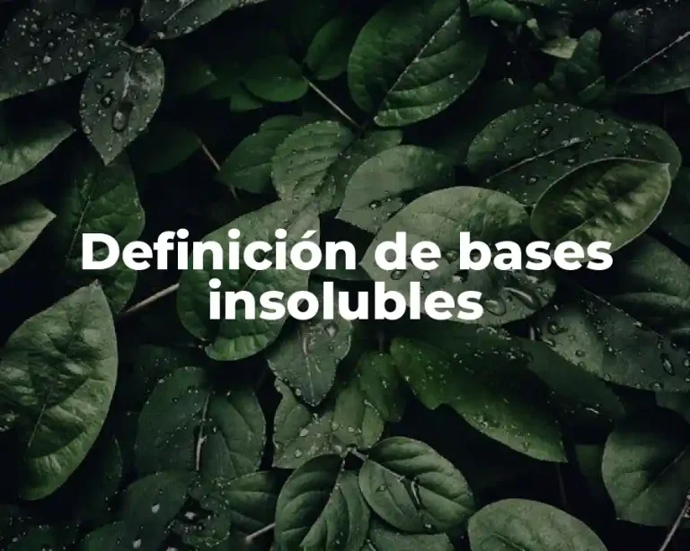 Definición de bases insolubles