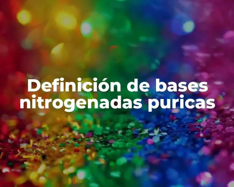Definición de bases nitrogenadas puricas