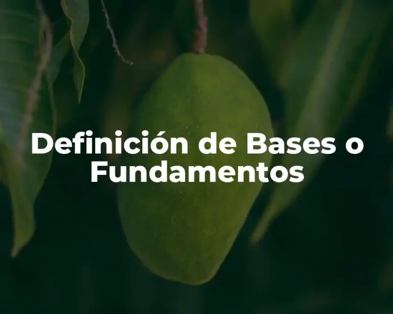 Definición de Bases o Fundamentos