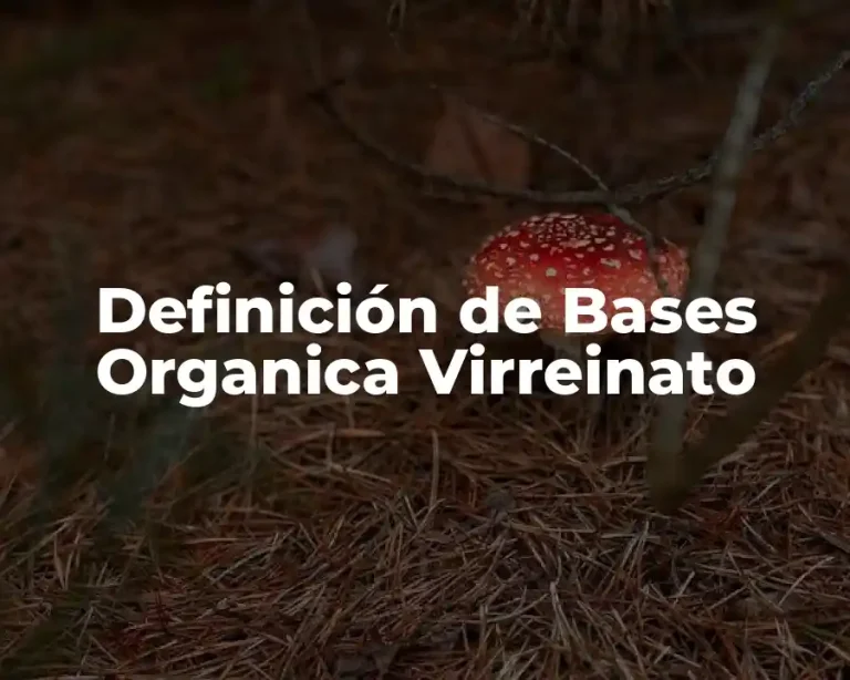 Definición de Bases Organica Virreinato