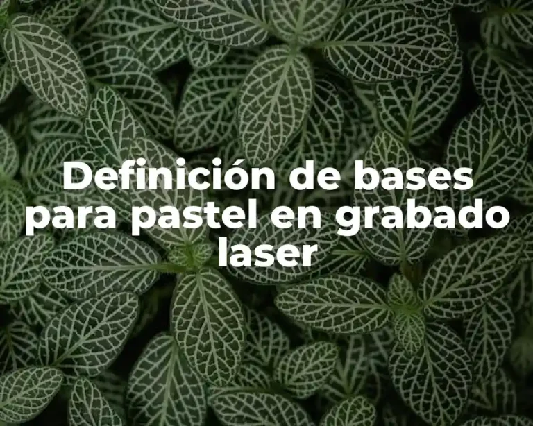 Definición de bases para pastel en grabado laser