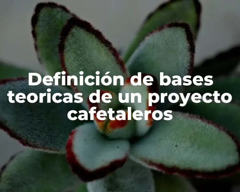 Definición de bases teoricas de un proyecto cafetaleros