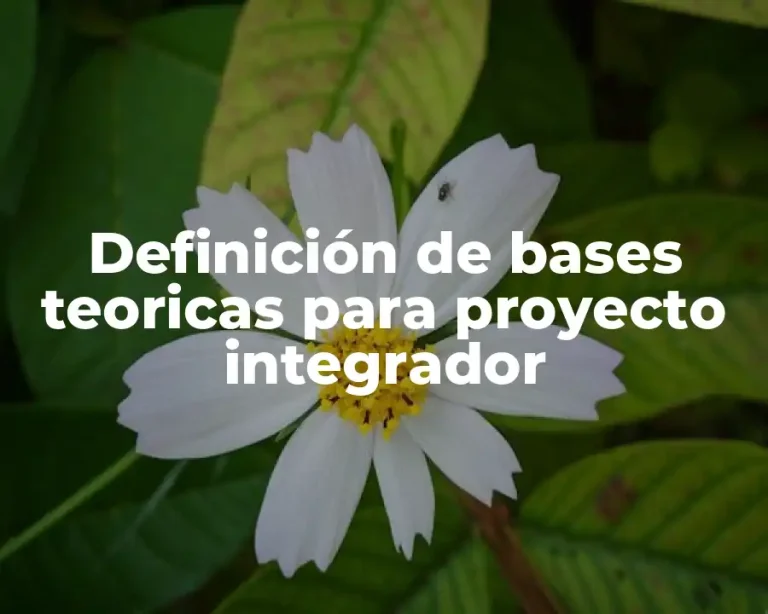 Definición de bases teoricas para proyecto integrador