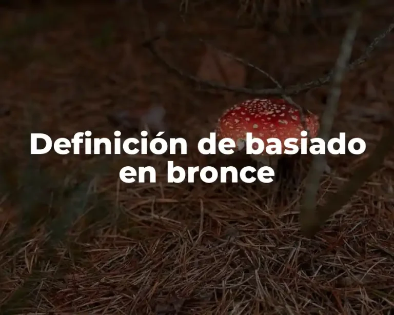 Definición de basiado en bronce