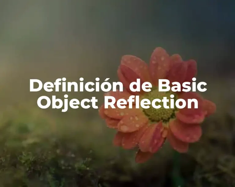 Definición de Basic Object Reflection