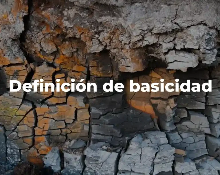 Definición de basicidad