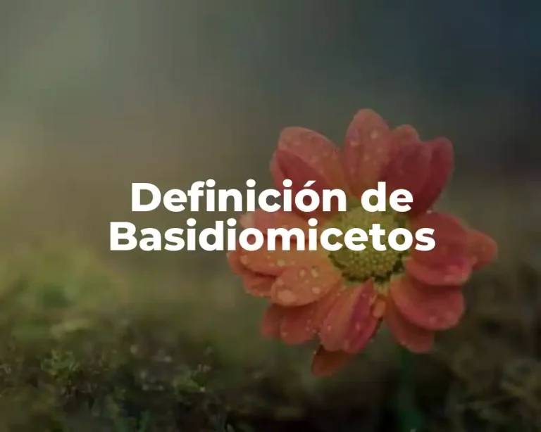 Definición de Basidiomicetos