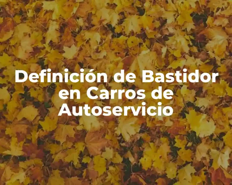 Definición de Bastidor en Carros de Autoservicio
