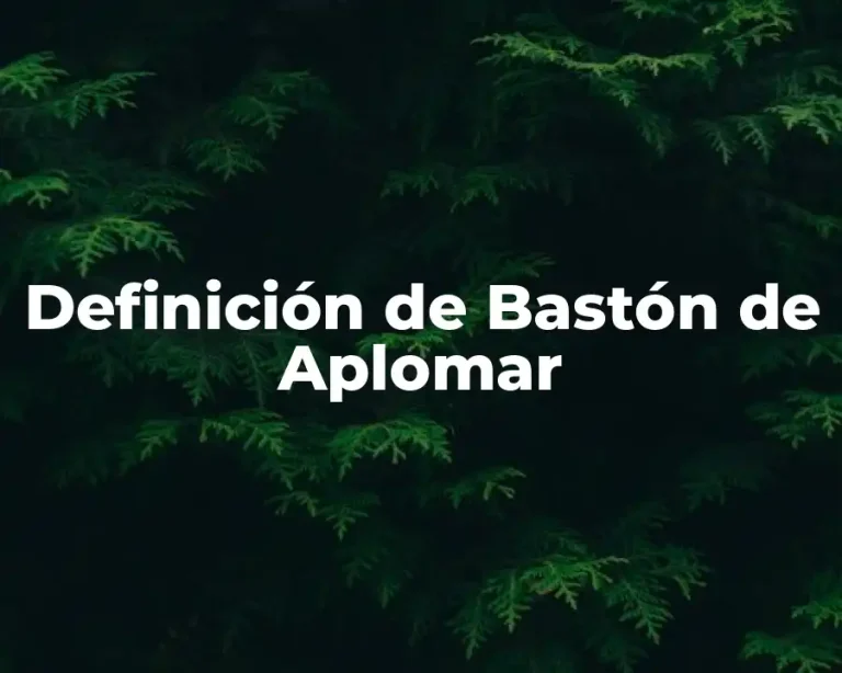 Definición de Bastón de Aplomar