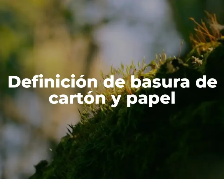 Definición de basura de cartón y papel