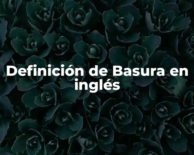 Definición de Basura en inglés