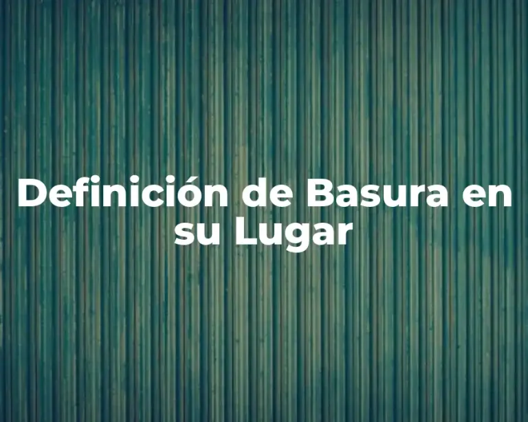 Definición de Basura en su Lugar