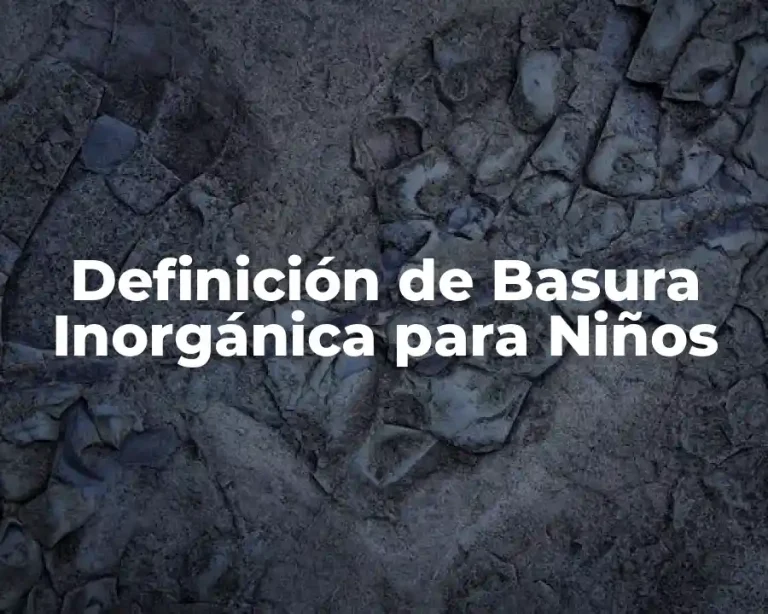 Definición de Basura Inorgánica para Niños