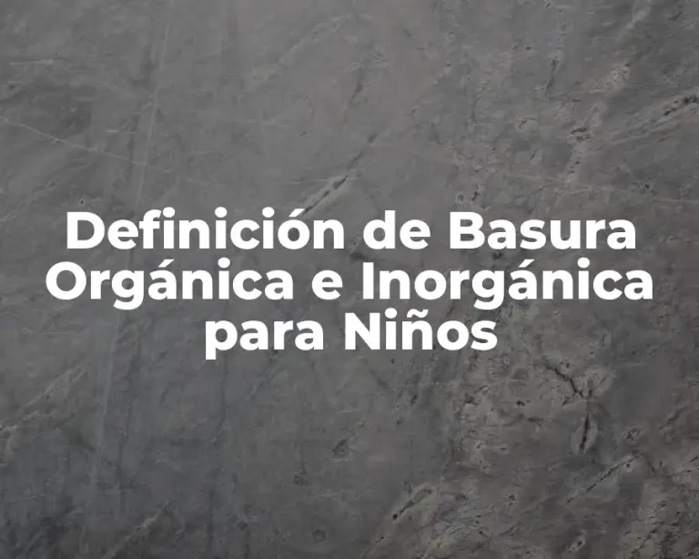 Definición de Basura Orgánica e Inorgánica para Niños