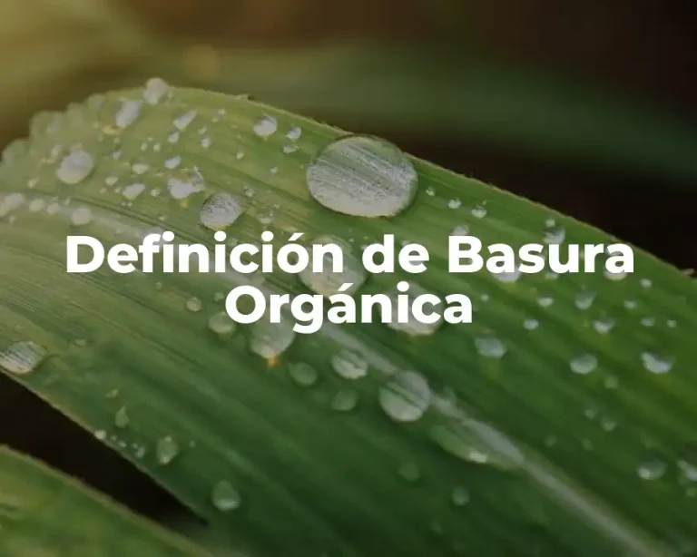 Definición de Basura Orgánica