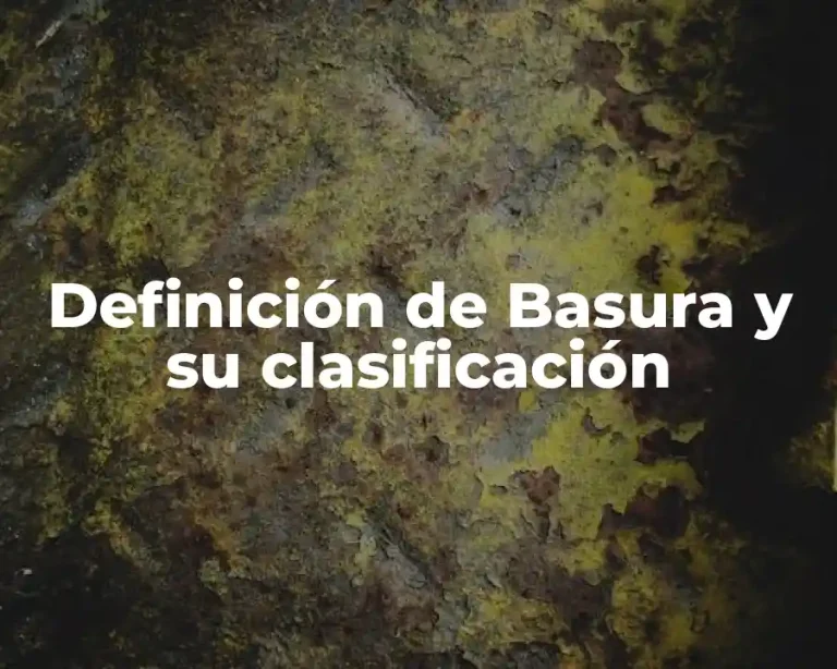Definición de Basura y su clasificación