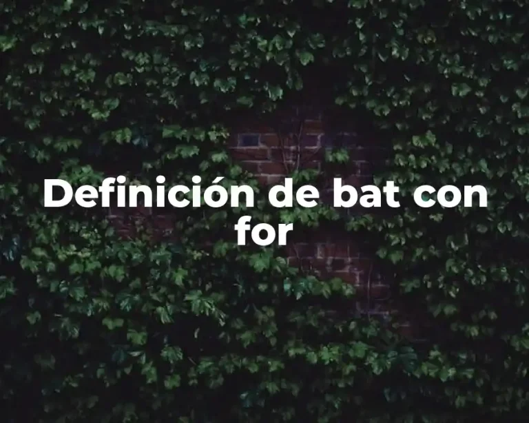 Definición de bat con for