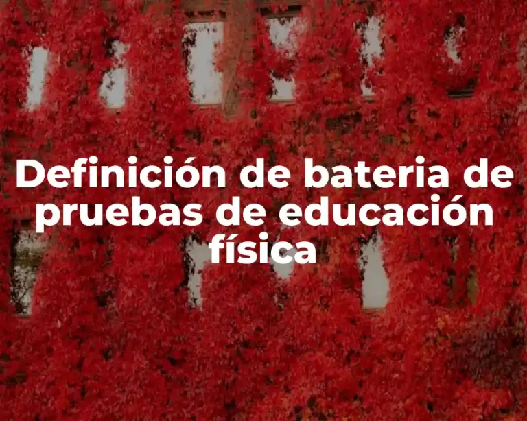 Definición de bateria de pruebas de educación física
