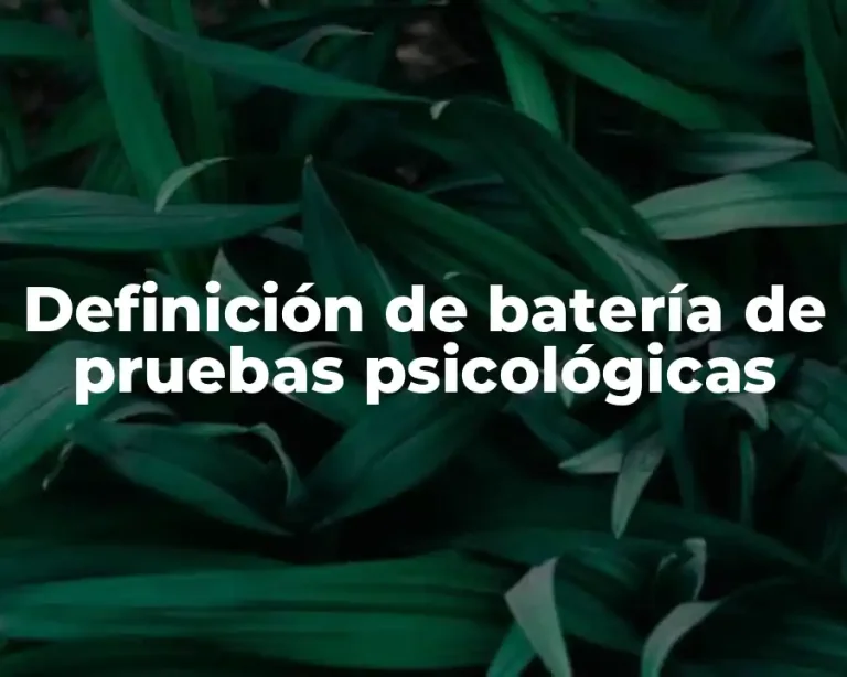 Definición de batería de pruebas psicológicas