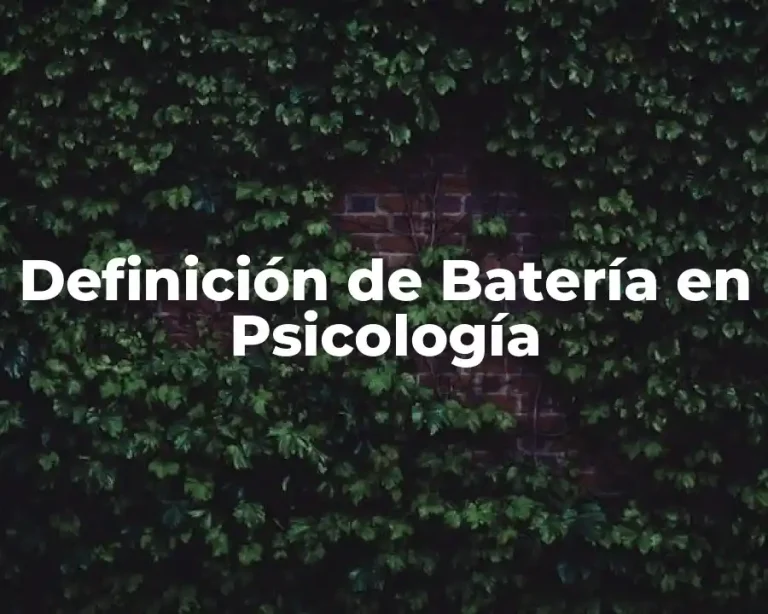 Definición de Batería en Psicología