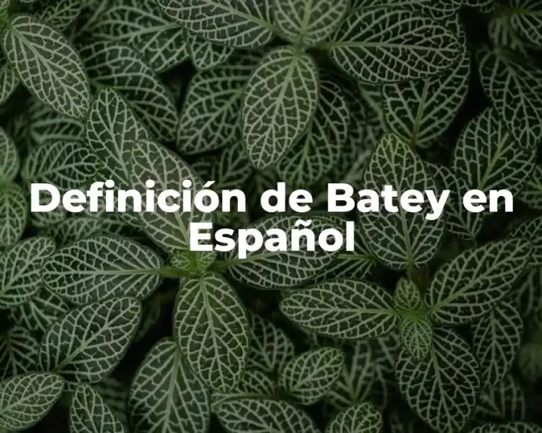 Definición de Batey en Español