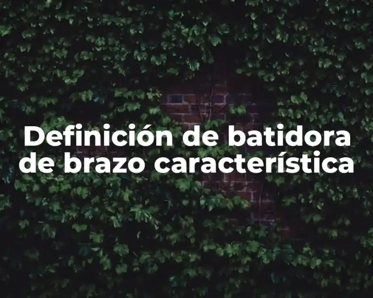 Definición de batidora de brazo característica