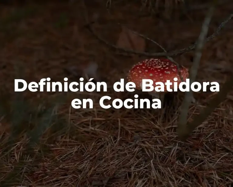 Definición de Batidora en Cocina