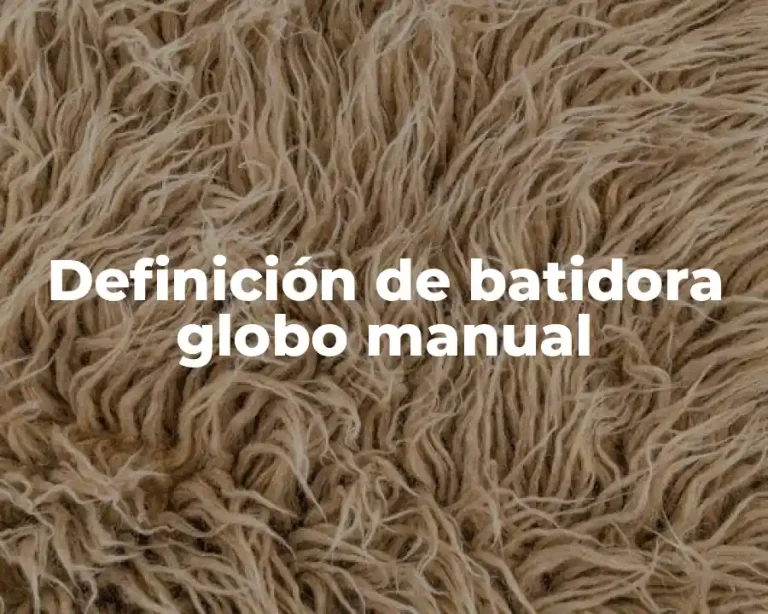 Definición de batidora globo manual