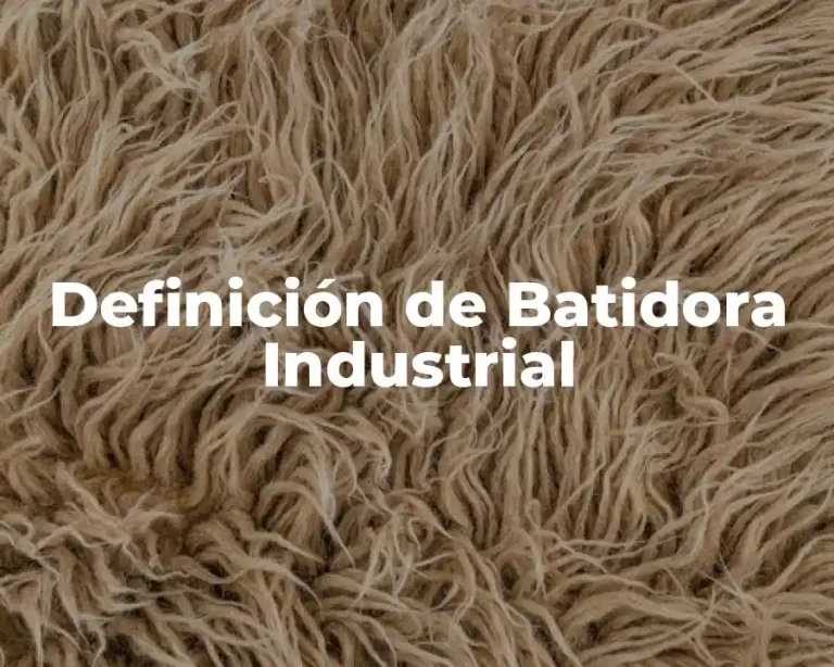 Definición de Batidora Industrial