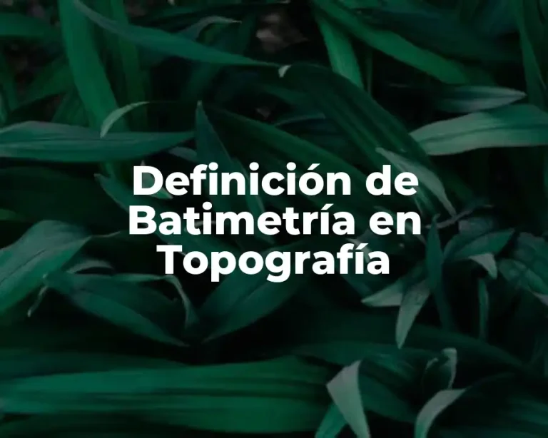 Definición de Batimetría en Topografía