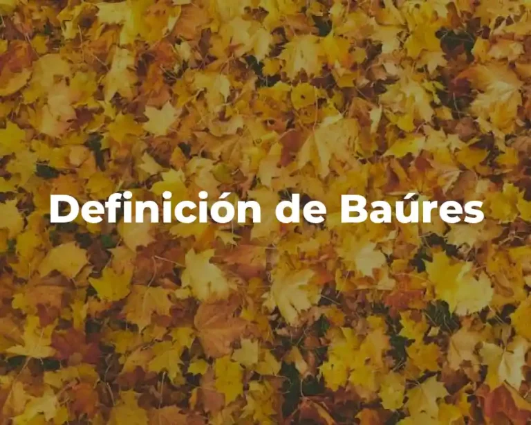 Definición de Baúres
