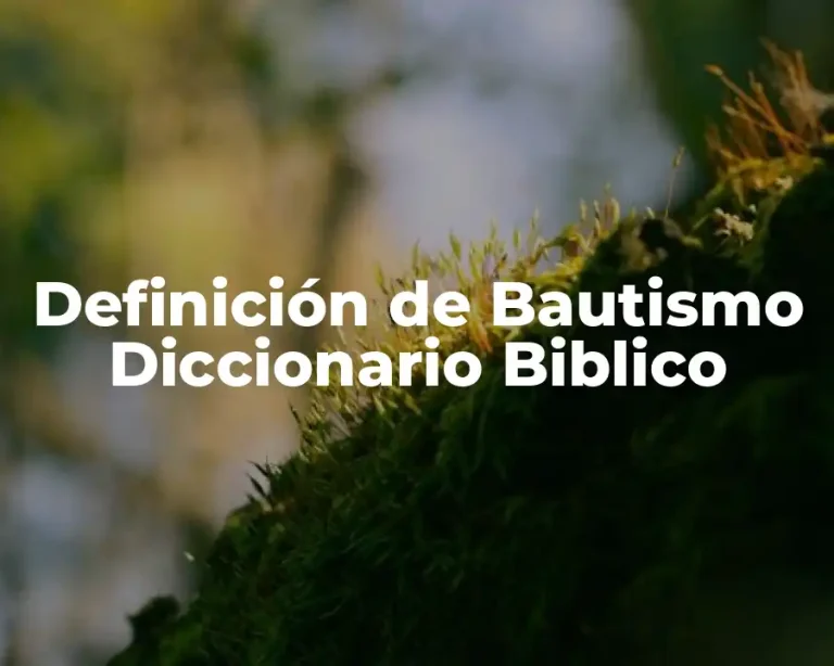 Definición de Bautismo Diccionario Biblico