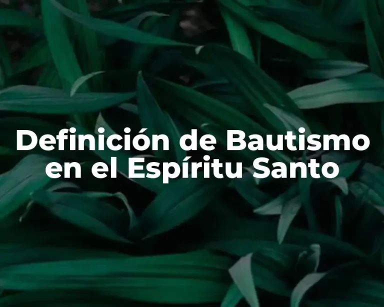 Definición de Bautismo en el Espíritu Santo