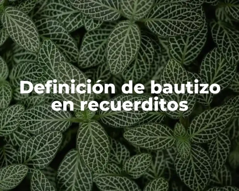 Definición de bautizo en recuerditos