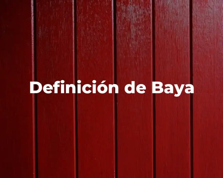 Definición de Baya